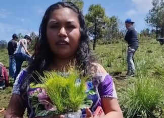 Denuncian Detención Arbitraria de María Cruz Paz, Defensora del Medio Ambiente en Michoacán
