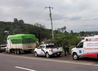 Con tiro en la cabeza, hallan cuerpo en camarote de camión sobre la Morelia-Salamanca