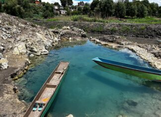 Rehabilitan 11 manantiales con trabajos de rescate del lago de Pátzcuaro
