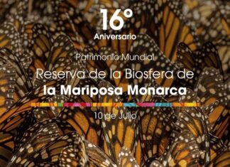 Cumple Biosfera de la Monarca 16 años como Patrimonio Mundial de la Humanidad