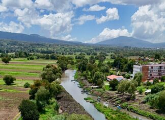Manantiales de Urandén en lago de Pátzcuaro, en franca recuperación; le dan vida a la isla