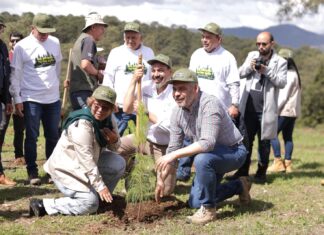 ¡Todos, manos a los árboles! Bedolla arranca reforestación estatal