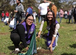 Arrancó reforestación simultánea en 12 municipios de Michoacán