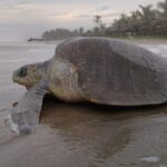 WhatsApp Image 2024-07-22 at 09.15.50 (1)