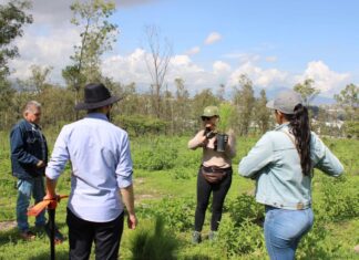 Arranca Gobierno estatal reforestación de Áreas Naturales Protegidas