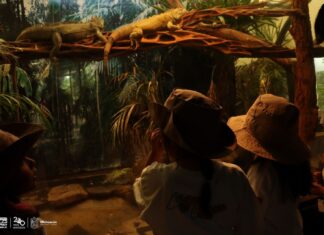 Aún estás a tiempo de ser explorador con el curso de verano del zoológico