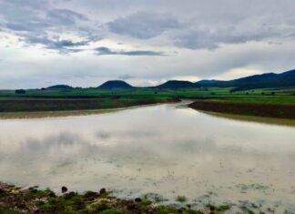 Tras labores de limpieza, renace laguna de Zinciro, en Erongarícuaro
