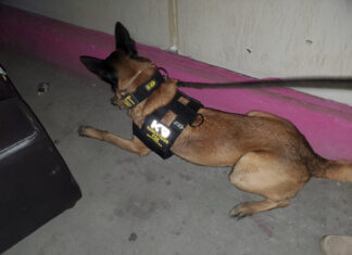 En cateo interinstitucional realizado en un bar de Morelia, fue asegurado narcótico y se detuvo a una persona