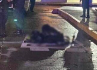 Michoacán Violento: Dejan 6 Cadáveres Descuartizados y Embolsados en Zitácuaro