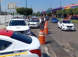 Ruta Gris Suspende Servicio a la TAM: Conflicto con Gerente de Seguridad y Operativo de Taxistas