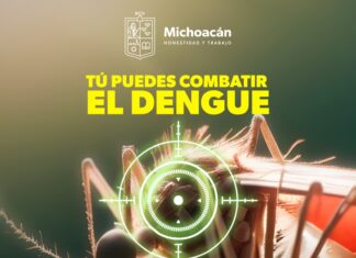 Protege a tu familia del dengue con estas recomendaciones de la SSM