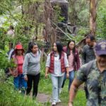 WhatsApp Image 2024-08-15 at 08.15.41