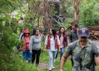 Arrancará en Michoacán el programa Senderos Seguros: Gladyz Butanda