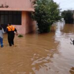 WhatsApp Image 2024-08-16 at 09.26.45