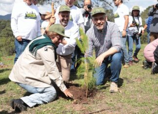 Con Plan Morelos sectores agrícola e industrial remediarán daños que causen al ambiente: Bedolla