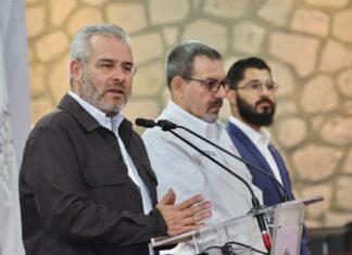 Vigente el Decreto para Certificación contra la Deforestación en Michoacán: Bedolla