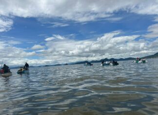 Arranca Gobierno estatal siembra de un millón de crías de tilapia en el lago de Cuitzeo