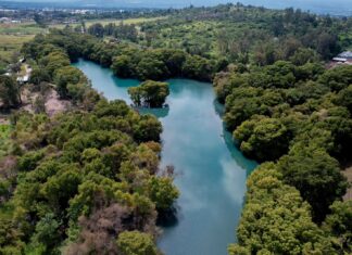 En gobierno de Bedolla, decretadas más de 146 mil hectáreas como Áreas Naturales Protegidas
