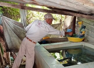Combate el dengue desde casa con estas sencillas acciones que comparte la SSM