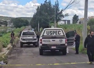 VIDEO | Localizan a hombre asesinado entre la maleza al nororiente de Morelia