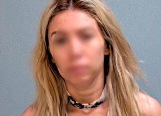 Exregidora del PAN, Denisse Ahumada, condenada a 3 años de prisión en EE.UU. por tráfico de droga
