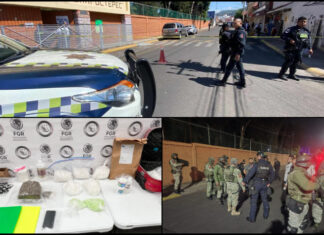 Aseguran droga y explosivos en inmueble de Nueva Chapultepec tras operativo interinstitucional