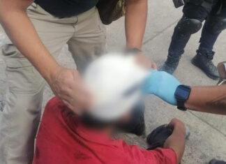 Viejas Rencillas Desatan Brutal Ataque a Martillazos en Zamora