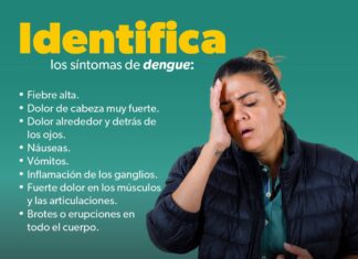 Conoce los síntomas del dengue y cómo prevenirlo desde las escuelas
