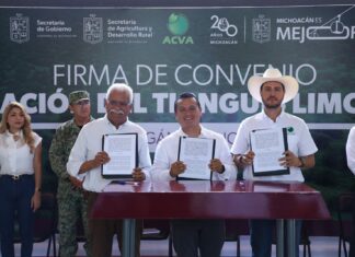 Asume Gobierno de Michoacán coordinación del Tianguis Limonero de Apatzingán