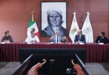 Respalda Climate Right certificación estatal del aguacate contra la deforestación