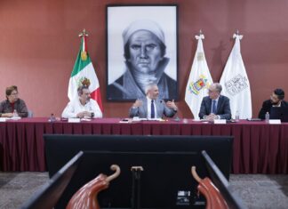 Respalda Climate Right certificación estatal del aguacate contra la deforestación