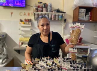 Entregados 453 mdp en créditos del Sí Financia en municipios con Alerta de Género