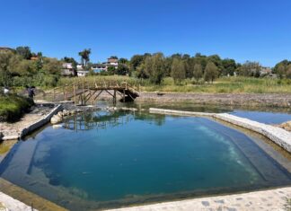Listos en el lago de Pátzcuaro para recibir al turismo por Semana de Muertos: Compesca