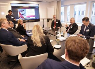 Michoacán, confiable para empresas suecas por conectividad, ubicación y energías limpias