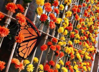 Exporta Michoacán festival de Noche de Muertos a Zacatecas