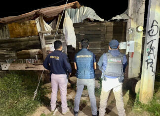 Cateo de la Fiscalía asegura inmueble y recupera 8 vehículos robados