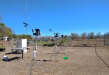 UMSNH busca optimizar producción de aguacate ante alto consumo de agua y cambio climático