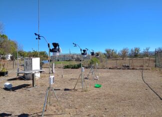 UMSNH busca optimizar producción de aguacate ante alto consumo de agua y cambio climático