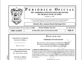 Michoacán publica decreto para el aborto seguro en el sector salud