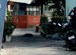 Hombre mata a balazos a un perro en Zamora, Michoacán; autoridades investigan