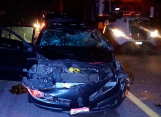 Grave accidente en la autopista Siglo XXI: Familia herida tras atropellar una vaca