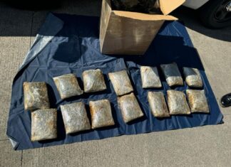 Decomisan más de 10 kg de marihuana en empresa de mensajería en Uruapan