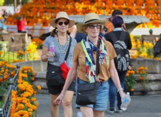 Turismo en Michoacán se dispara con las festividades de Noche de Muertos: Bedolla