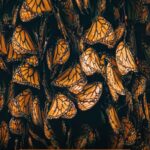 WhatsApp Image 2024-11-09 at 17.15.01 (1)