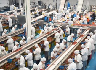 Michoacán sumó casi 8 mil nuevos empleos en octubre: Sedeco