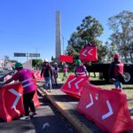 WhatsApp Image 2024-11-14 at 12.56.41