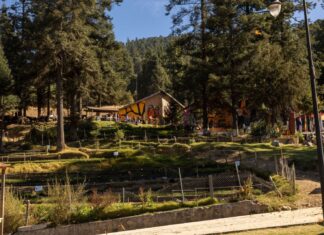 Conoce las rutas para llegar a los Santuarios de la Monarca