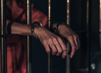 Vinculan a proceso a Eduardo “N” por presunta crueldad animal en Morelia