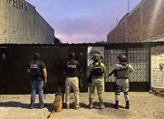 Aseguran 950 dosis de narcótico y detienen a una persona en cateo en Morelia