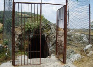 Hallan cadáver y altar en cueva de Topilejo, Tlalpan; restos eran devorados por animales